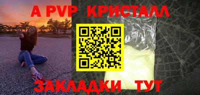 прущие грибы Нальчик