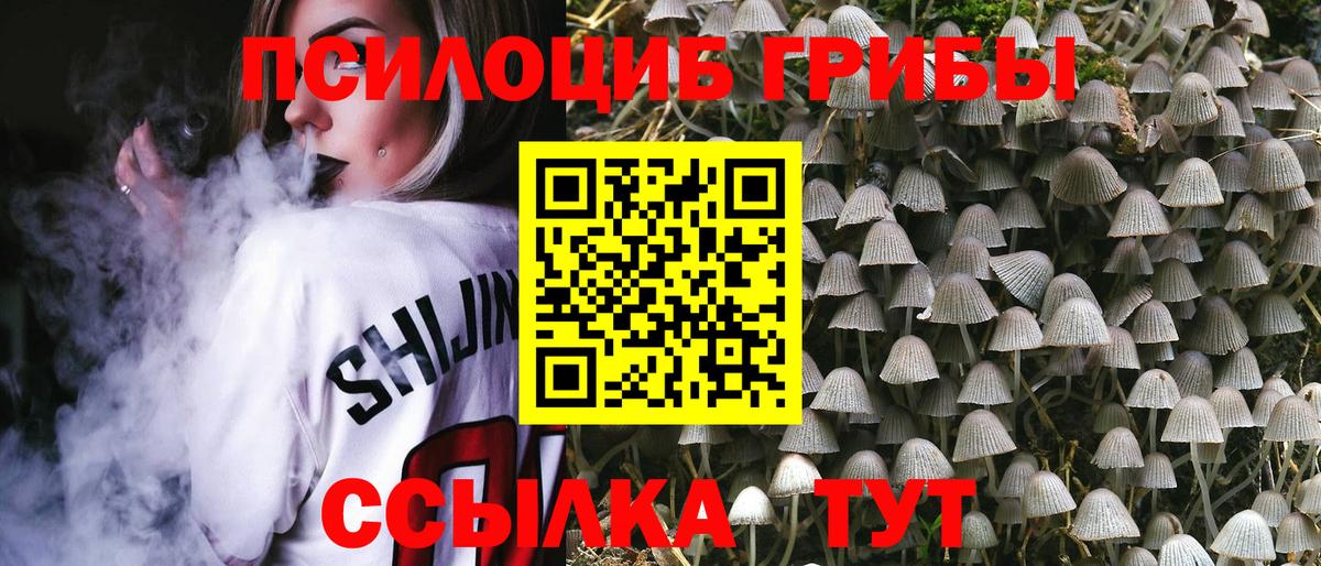 Галлюциногенные грибы прущие грибы Сунжа