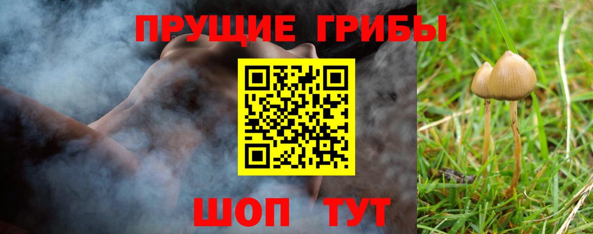 где можно купить   Псилоцибиновые грибы прущие грибы  Вход с VPN  Сунжа 