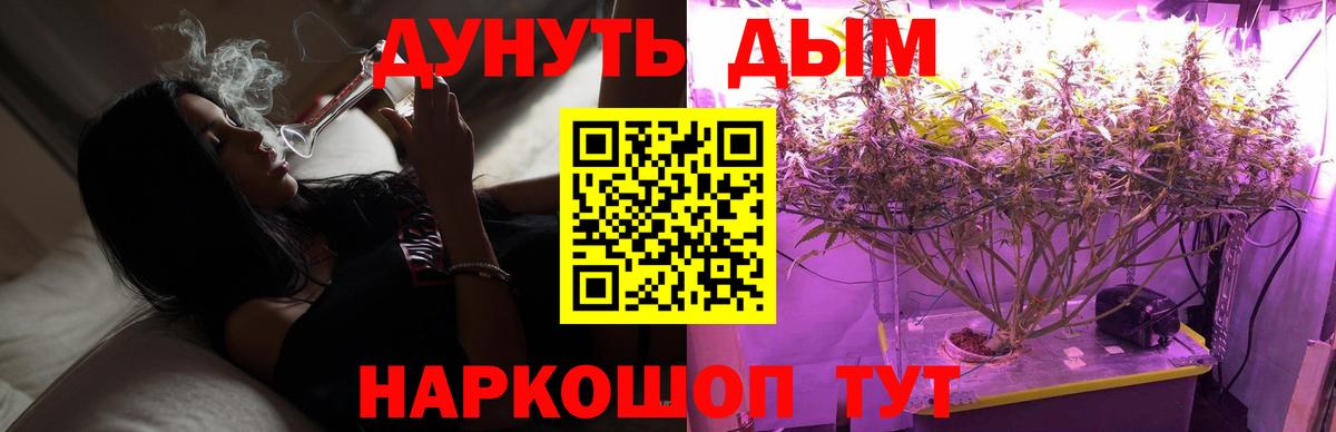Каннабис марихуана  Бошки марихуана конопля  Канабис LSD WEED  Вход с VPN  Сунжа 