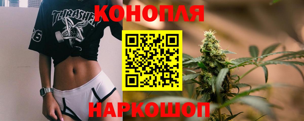 Бошки Шишки гибрид Сунжа